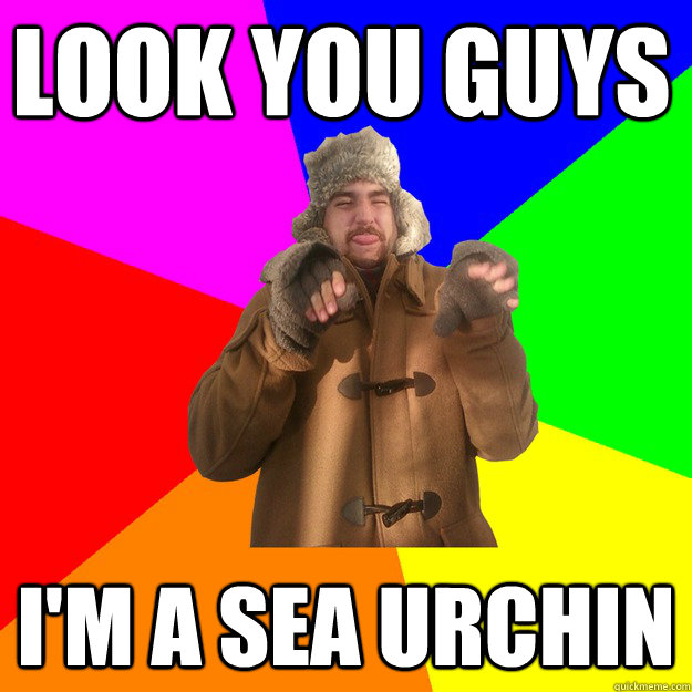 Look You Guys I'm A Sea Urchin - Look You Guys I'm A Sea Urchin  Jonimal