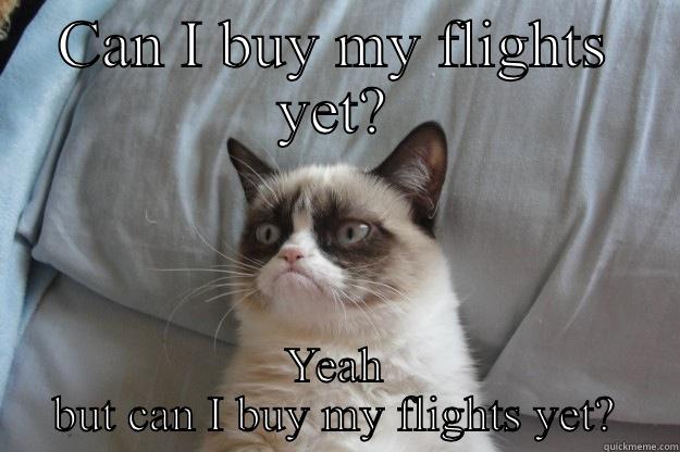 CAN I BUY MY FLIGHTS YET? YEAH BUT CAN I BUY MY FLIGHTS YET? Grumpy Cat