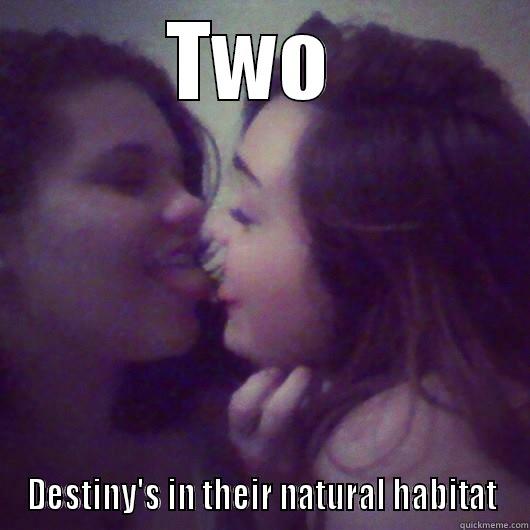 TWO  DESTINY'S IN THEIR NATURAL HABITAT Misc