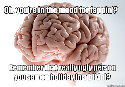 Oh, you're in the mood for fappin'? Remember that really ugly person you saw on holiday in a bikini?   Scumbag Brain