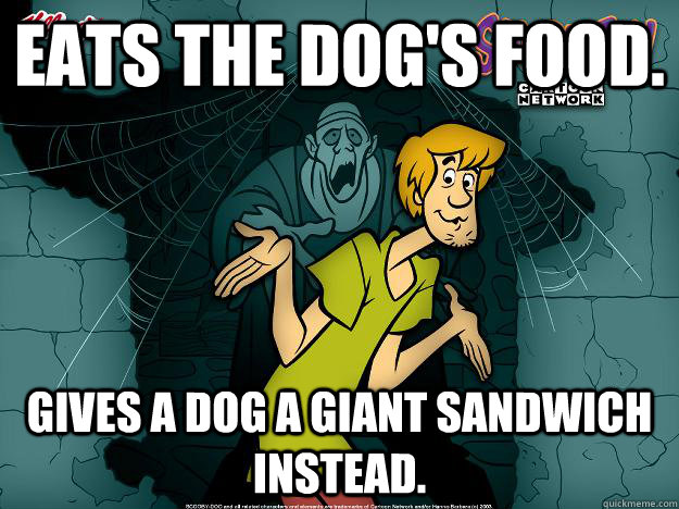 Eats the dog's food. Gives a dog a giant sandwich instead.  Irrational Shaggy