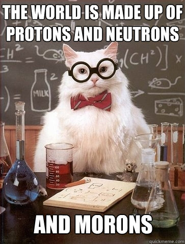 the world is made up of protons and neutrons and morons  Chemistry Cat