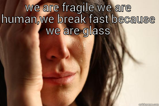 WE ARE FRAGILE WE ARE HUMAN,WE BREAK FAST BECAUSE WE ARE GLASS  First World Problems