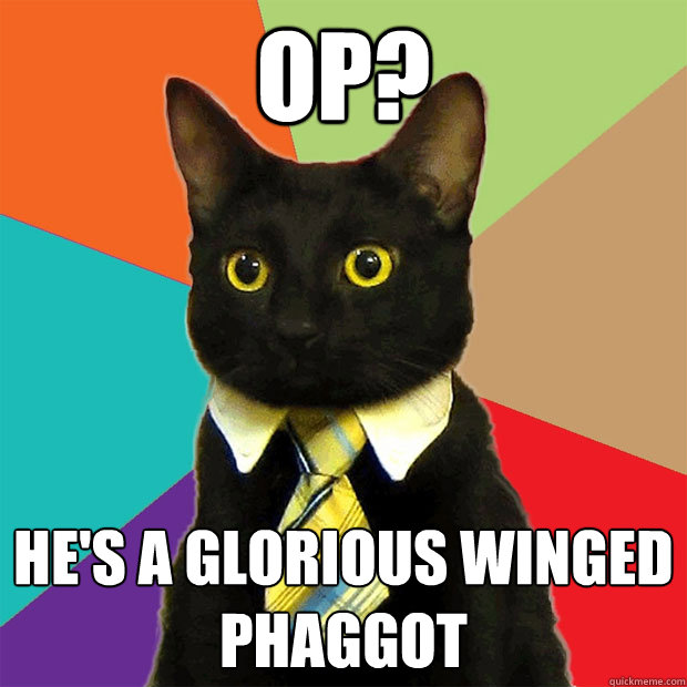 OP? He's a glorious winged phaggot  Business Cat