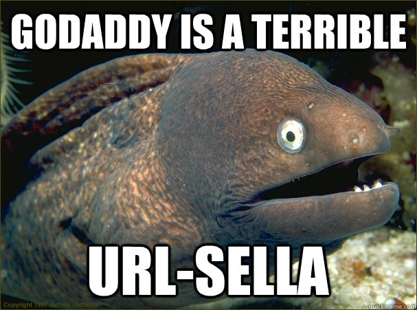 Godaddy is a terrible URl-sella  Bad Joke Eel