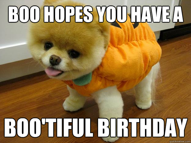 Boo hopes you have a  boo'tiful birthday  