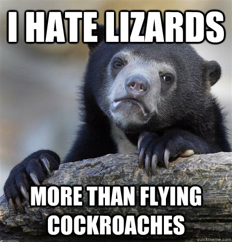 I hate lizards more than flying cockroaches  Confession Bear