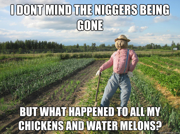 i dont mind the niggers being gone  But what happened to all my chickens and water melons?  Scarecrow