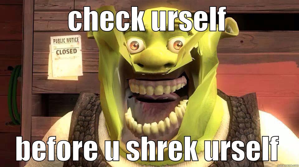 CHECK URSELF BEFORE U SHREK URSELF Misc