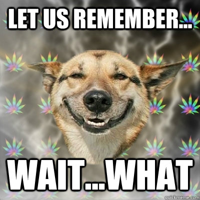 LEt Us Remember... Wait...what  Stoner Dog