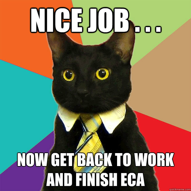 nice job . . . now get back to work
and finish ECA  Business Cat