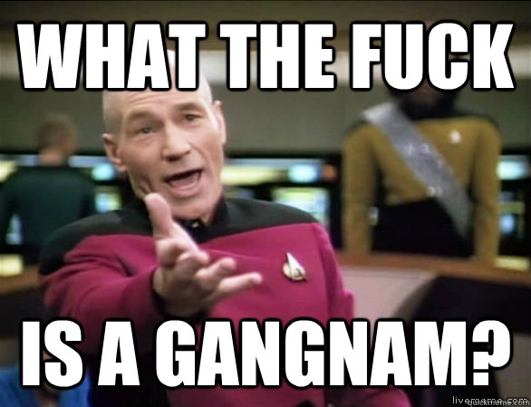 What the fuck is a gangnam?  Annoyed Picard HD