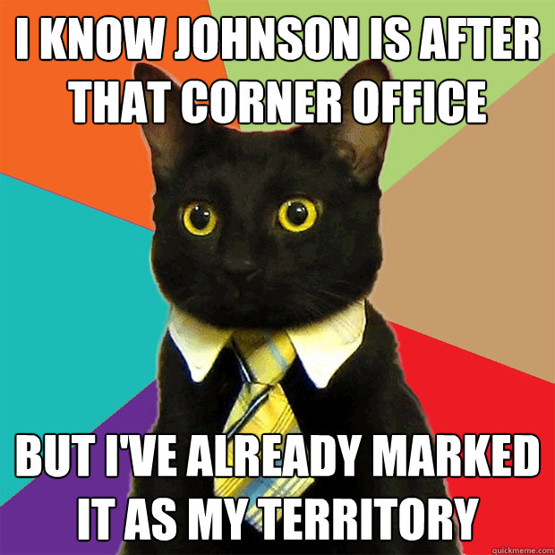 I know johnson is after that corner office but i've already marked it as my territory  Business Cat