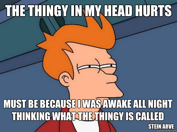 the thingy in my head hurts must be because i was awake all night thinking what the thingy is called stein arve - the thingy in my head hurts must be because i was awake all night thinking what the thingy is called stein arve  Futurama Fry