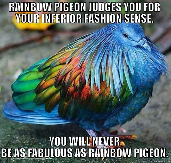 Rainbow Pigeon - RAINBOW PIGEON JUDGES YOU FOR YOUR INFERIOR FASHION SENSE. YOU WILL NEVER BE AS FABULOUS AS RAINBOW PIGEON. Misc