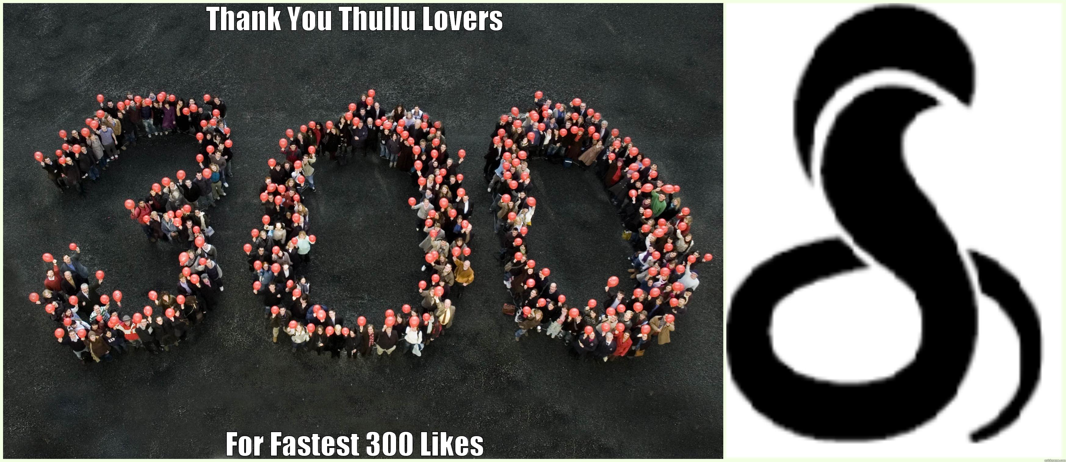 THANK YOU THULLU LOVERS                                                                 FOR FASTEST 300 LIKES                                                                 Misc