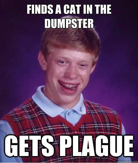 Finds a Cat in the dumpster gets plague  Bad Luck Brian