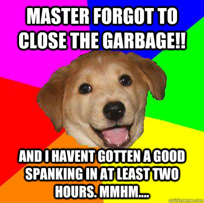 master forgot to close the garbage!! and i havent gotten a good spanking in at least two hours. mmhm....  Advice Dog