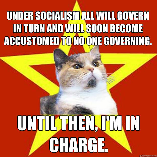 Under socialism all will govern in turn and will soon become accustomed to no one governing. Until then, I'm in charge.  
