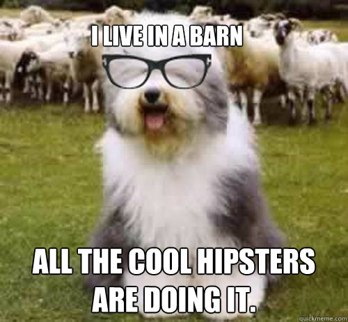 I live in a barn All the cool hipsters are doing it.  - I live in a barn All the cool hipsters are doing it.   Hipster Sheep Dog