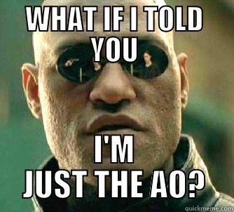 WHAT IF I TOLD YOU I'M JUST THE AO? Matrix Morpheus