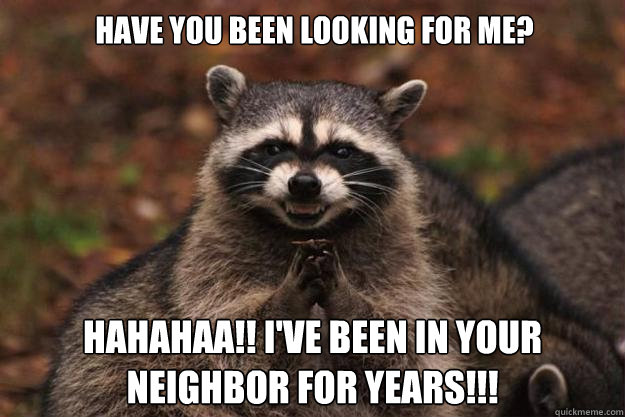 Have you been looking for me? hahahaa!! I've been in your neighbor for years!!! - Have you been looking for me? hahahaa!! I've been in your neighbor for years!!!  Evil Plotting Raccoon