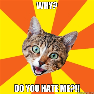 WHY? DO YOU HATE ME?!! - WHY? DO YOU HATE ME?!!  Bad Advice Cat