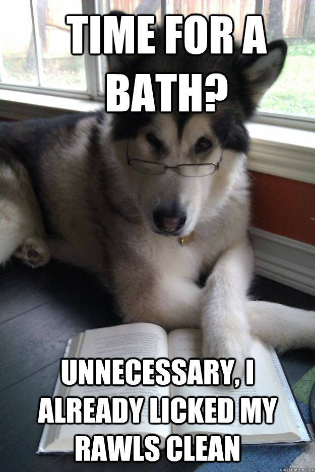 TIME FOR A BATH? UNNECESSARY, I ALREADY LICKED MY RAWLS CLEAN  Condescending Literary Pun Dog