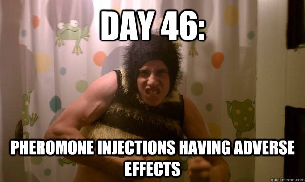 day 46: pheromone injections having adverse effects - day 46: pheromone injections having adverse effects  Roid Rage Bumble Bee