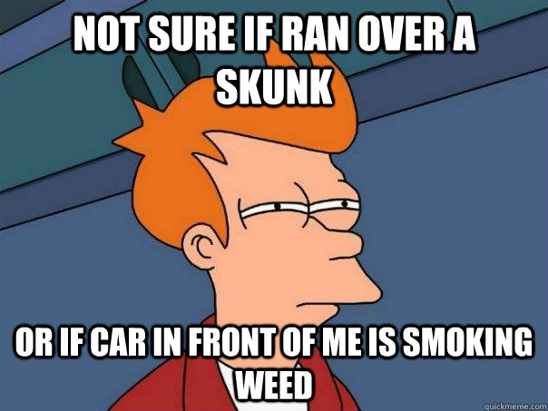 Not sure if ran over a skunk Or if car in front of me is smoking weed - Not sure if ran over a skunk Or if car in front of me is smoking weed  Futurama Fry