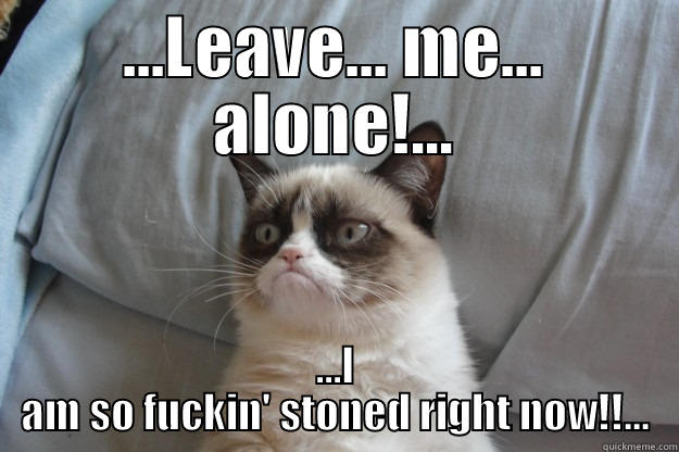 ...LEAVE... ME... ALONE!... ...I AM SO FUCKIN' STONED RIGHT NOW!!... Grumpy Cat