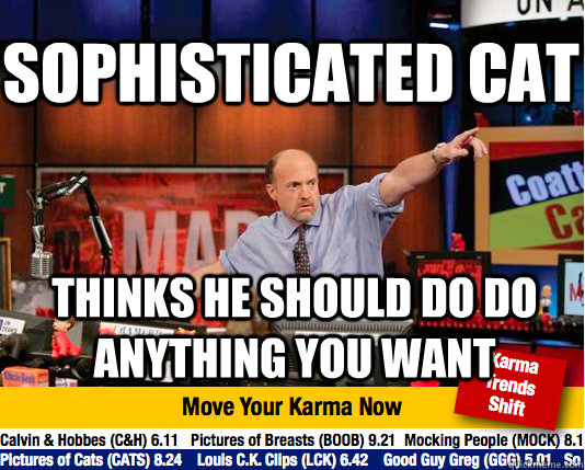 sophisticated cat thinks he should do do anything you want  Mad Karma with Jim Cramer