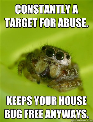 Constantly a target for abuse. Keeps your house bug free anyways.  