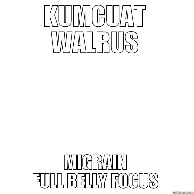 KUMCUAT WALRUS MIGRAIN FULL BELLY FOCUS Misc