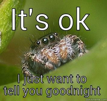 IT'S OK I JUST WANT TO TELL YOU GOODNIGHT Misunderstood Spider