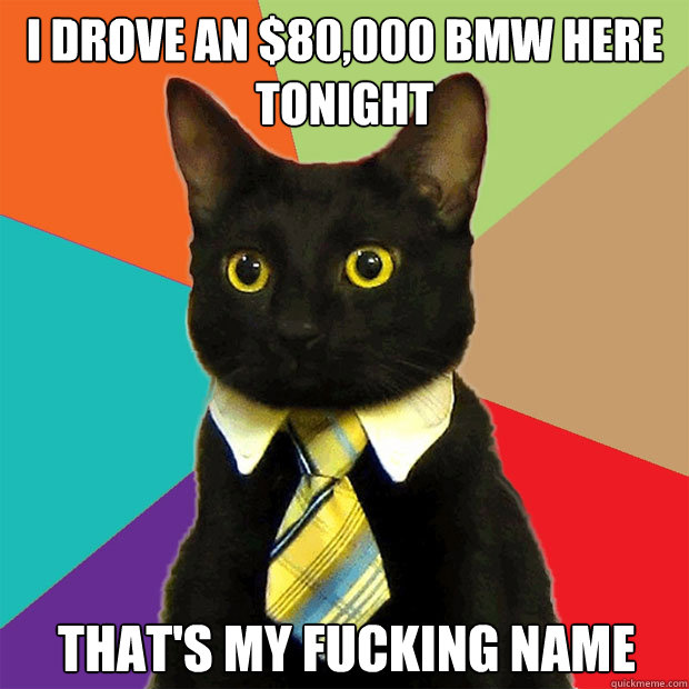 I drove an $80,000 bmw here tonight that's my fucking name  Business Cat