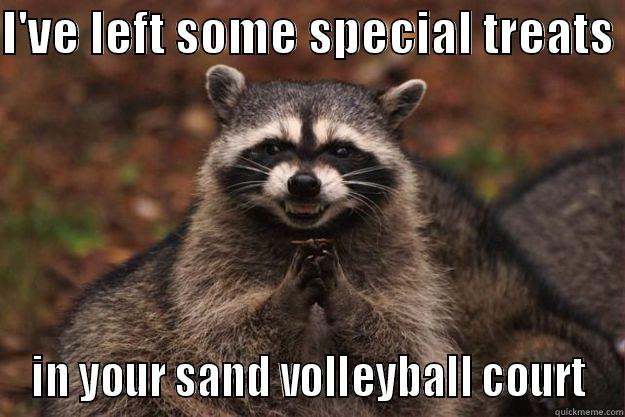 I'VE LEFT SOME SPECIAL TREATS  IN YOUR SAND VOLLEYBALL COURT Evil Plotting Raccoon