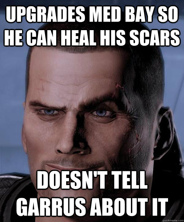 Upgrades Med Bay so he can heal his scars Doesn't tell Garrus about it   Scumbag shepard