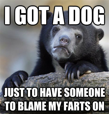 I got a dog Just to have someone to blame my farts on - I got a dog Just to have someone to blame my farts on  Confession Bear