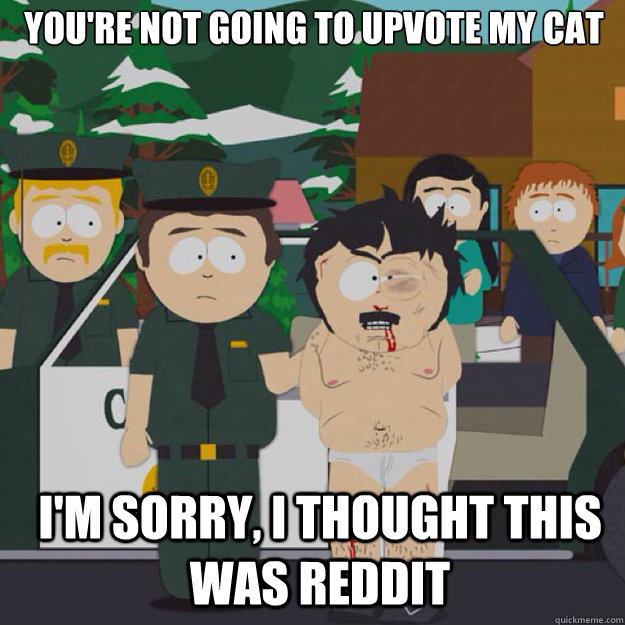 You're not going to upvote my cat I'm sorry, I THOUGHT THIS WAS Reddit  I thought this was America