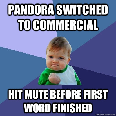 Pandora switched to commercial Hit mute before first word finished  Success Kid