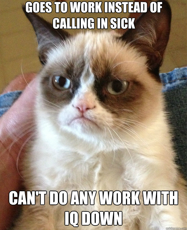 Goes to work instead of calling in sick can't do any work with IQ down  Grumpy Cat