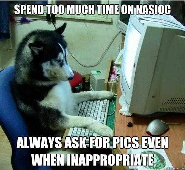 spend too much time on NASIOC always ask for pics even when inappropriate - spend too much time on NASIOC always ask for pics even when inappropriate  Disapproving Dog