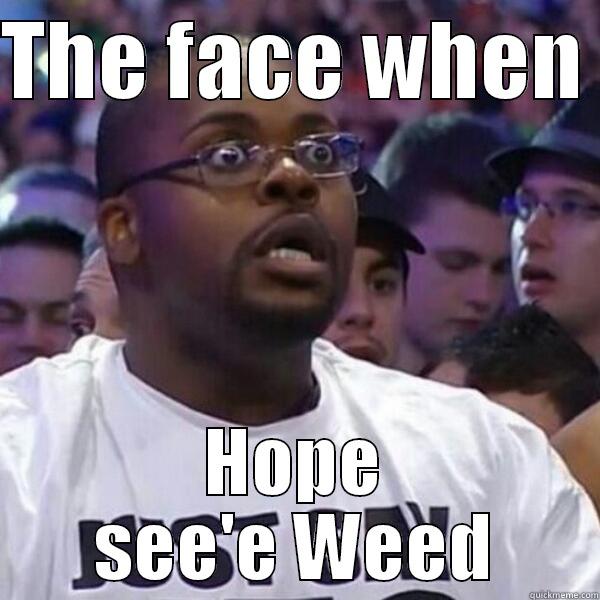 THE FACE WHEN  HOPE SEE'E WEED Misc