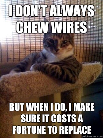 I don't always chew wires but when I do, I make sure it costs a fortune to replace - I don't always chew wires but when I do, I make sure it costs a fortune to replace  The Most Interesting Cat in the World
