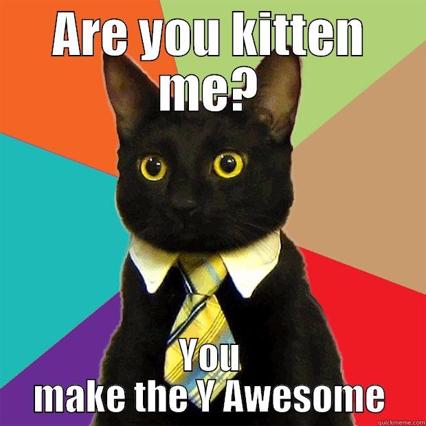 ARE YOU KITTEN ME? YOU MAKE THE Y AWESOME Business Cat