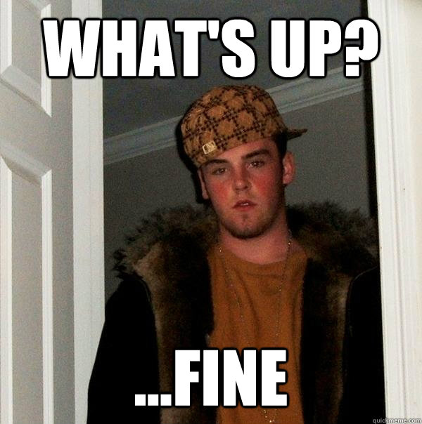 What's up? ...fine  Scumbag Steve