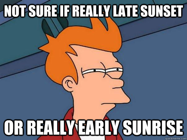 Not sure if really late sunset Or really early sunrise  Futurama Fry