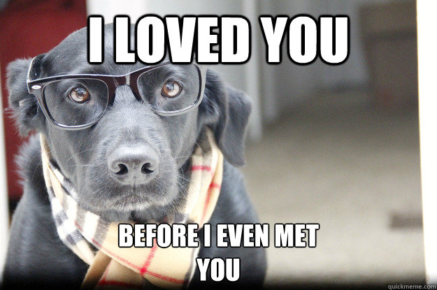 I loved you Before I even met
you  Hipster Dog