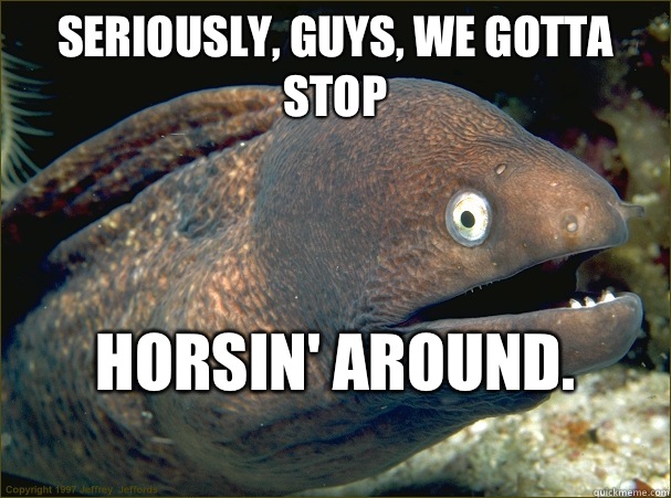 Seriously, guys, we gotta stop HORSIN' AROUND.
  Bad Joke Eel